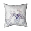 Begin Home Decor 20 x 20 in. Alveoli-Double Sided Print Indoor Pillow 5541-2020-AB67